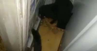 Look, a hole