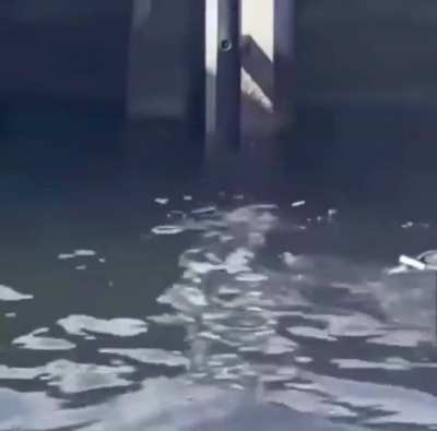 Man catches a fish that’s too big in a boat that’s too small.