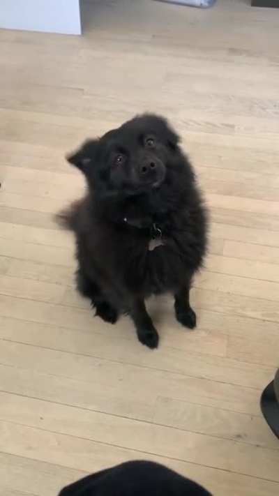 You mean treats?