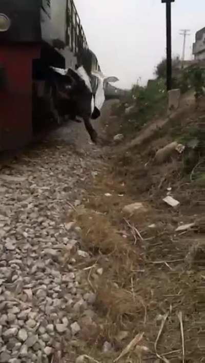 WCGW filming a video near the train.