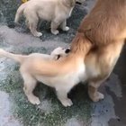 When life hits you hard, bite on it and never let go