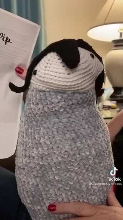 Little Penguin Pip ?