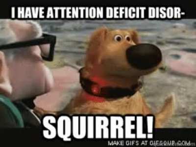 Yep I have a.d.d. and was wondering if anyone here has it, and a successful career. I would like to talk to you and try to figure out something I could do. I'm currently insanely bored at work and can't do it much longer...I'm sure you can relate. I would
