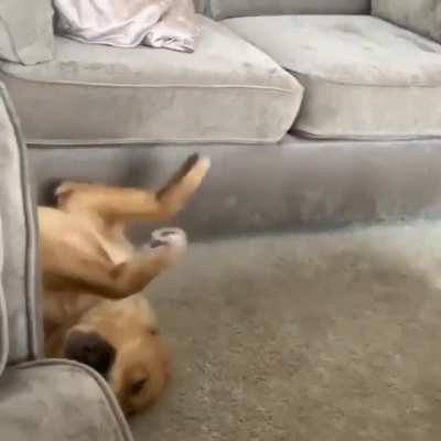 I think he broke