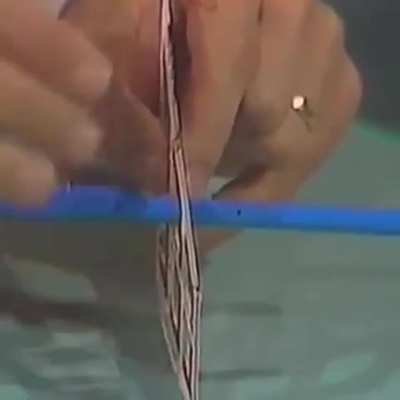 This illusion