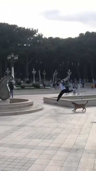 Taunting some dogs