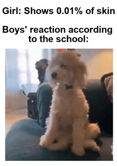 Rise junior!
