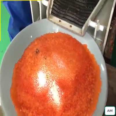 Artificial breeding of salmon