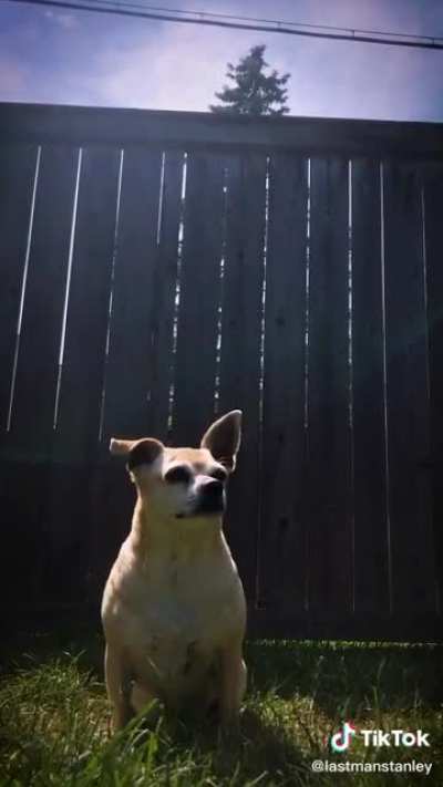 This dude makes cool shit