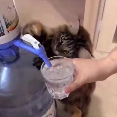 I know that you need my help, human