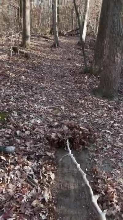 Quality stick