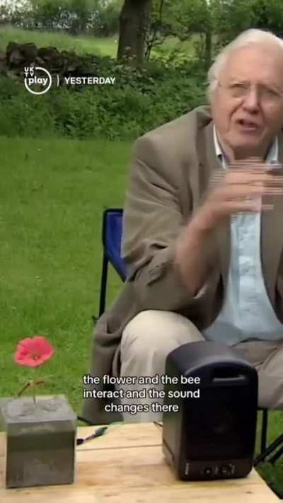 Bee Positive