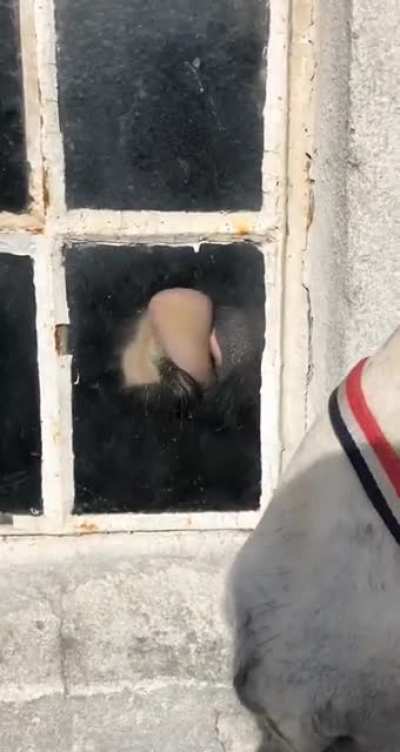 Hello?