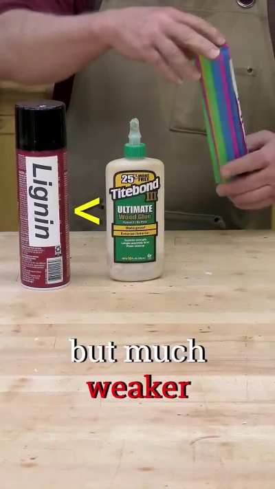 Is glue stronger than wood ?