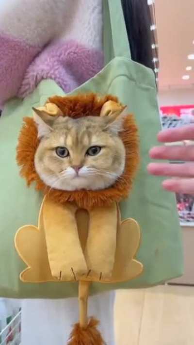I Could Really Use A Bag Like That