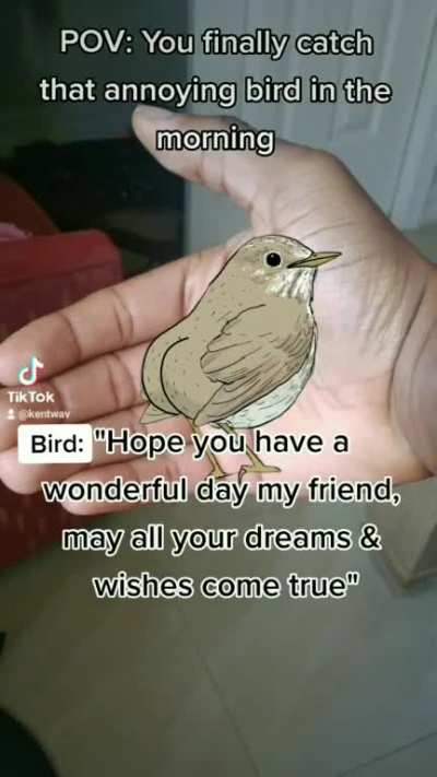 Those 6AM birds are so annoying