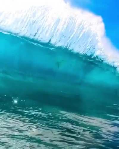 That's some damn clean water