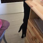 Neighbor is vacuuming, Darthamor doesn't understand wth is that??‍♀️