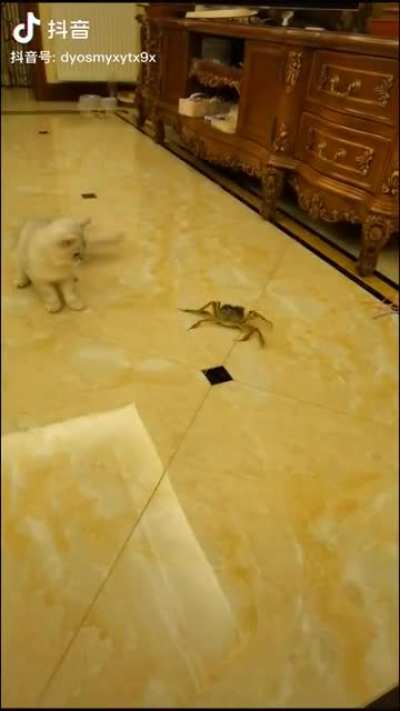 A Normal day in C