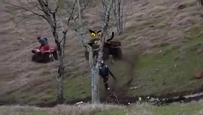Mistreated ATV Goes ROGUE