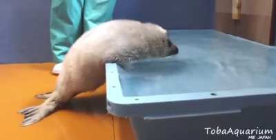 Maybe maybe maybe