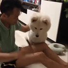 cool magic