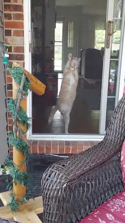 I just wanted to relax by myself on the porch
