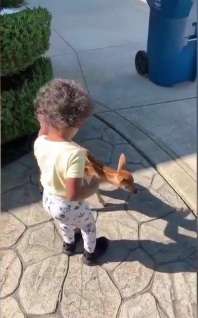 ? May this little girl meeting a baby deer make your day!