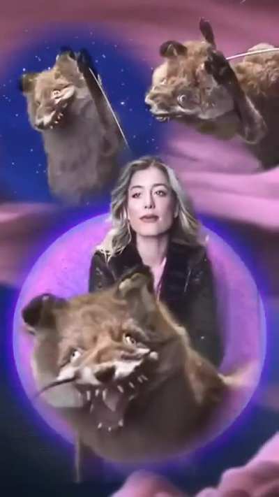 I still don't understand why my TikTok is so full of crazy stuff, wtf is that?!