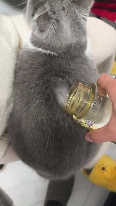 Hydrophobic cat fur