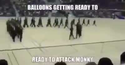 Monke or monky
