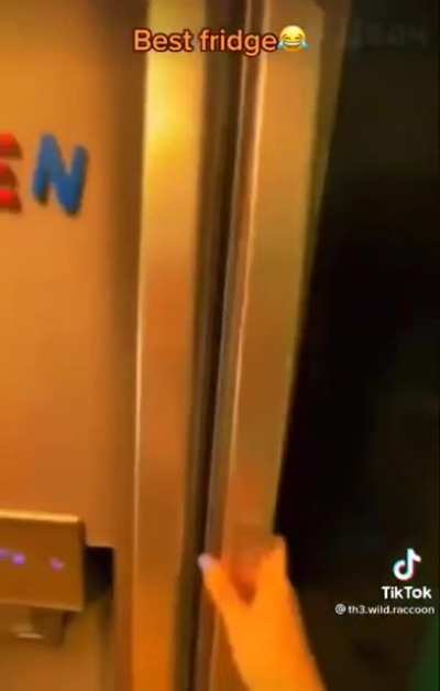 Best Fridge ever?
