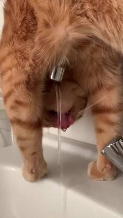hmmm