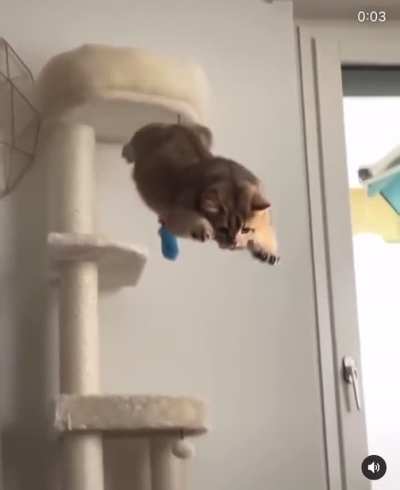 Perfectly calculated.