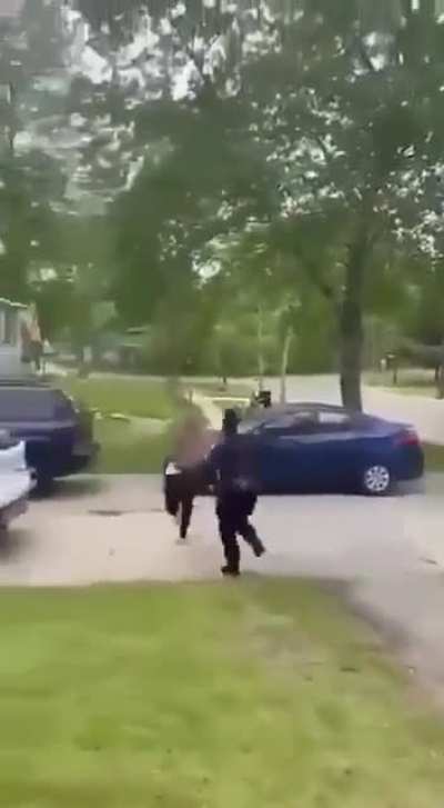 This one sparks joy.mp4