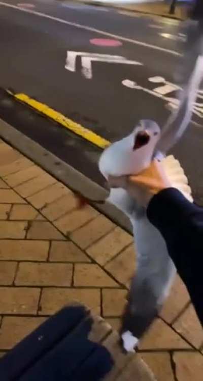 Making my way down town