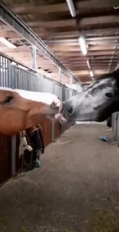 A stable relationship...