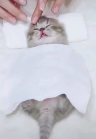 Living The Life. ?