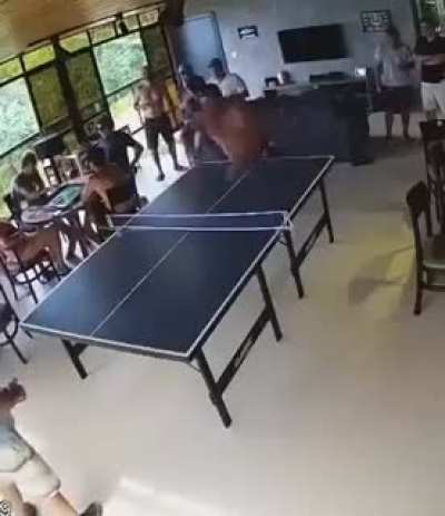 i’ve never seen this kind of technique before ?