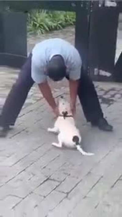 Wholesome