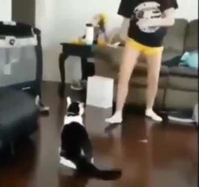 Round One - Fight!