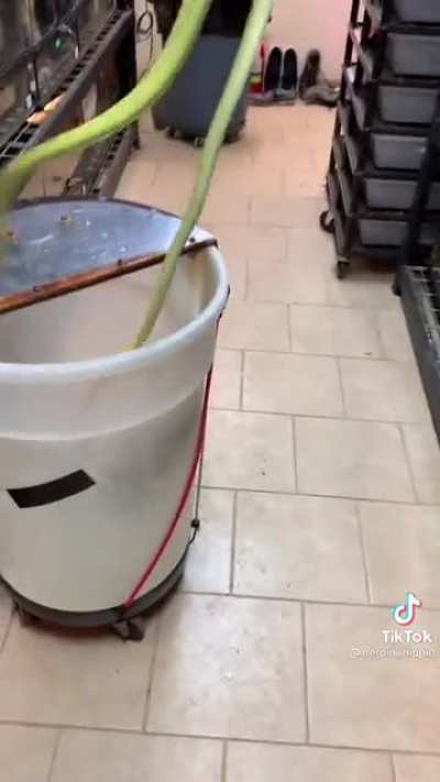 Danger noodle says "not so fast, human"