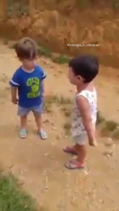 Two brazilian kids argue about the proper animal definition: "it's a cow!", "no, it's a bull!"