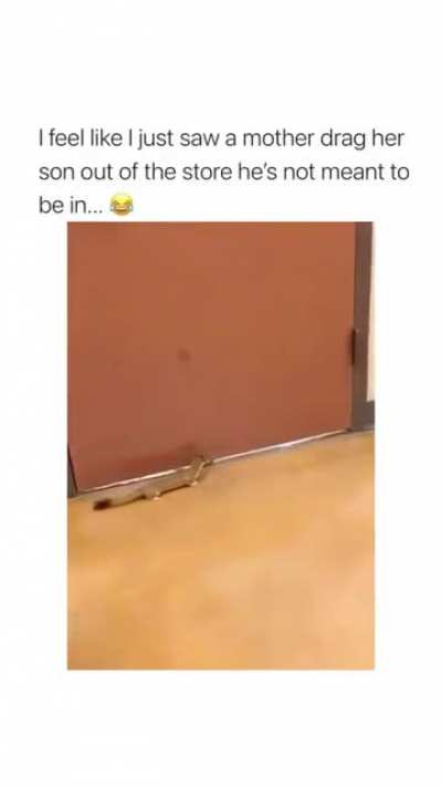 I've witnessed it ?