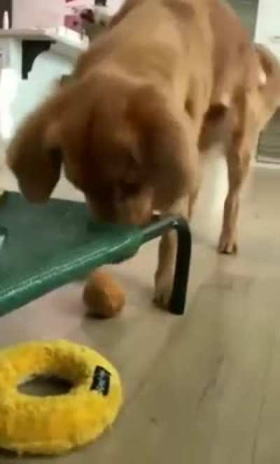 Doing his best