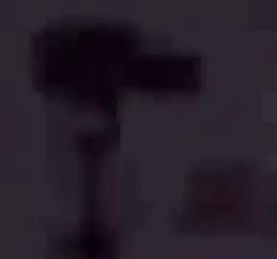 Spidey boutta get his web shot