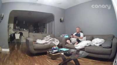 Dog flip