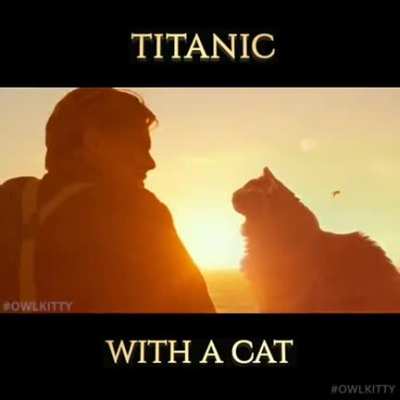 The editing is just Awesome! (photo courtesy of Owlkitty)