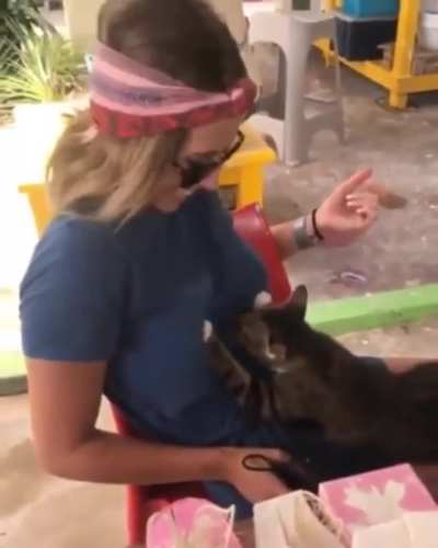 my milkshake brings all the boys to the yard