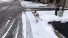 Happy feet